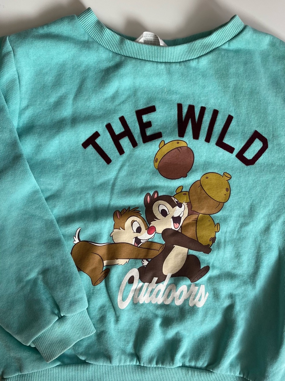 H&M Aqua 'The Wild' Chipmunk Graphic Sweatshirt